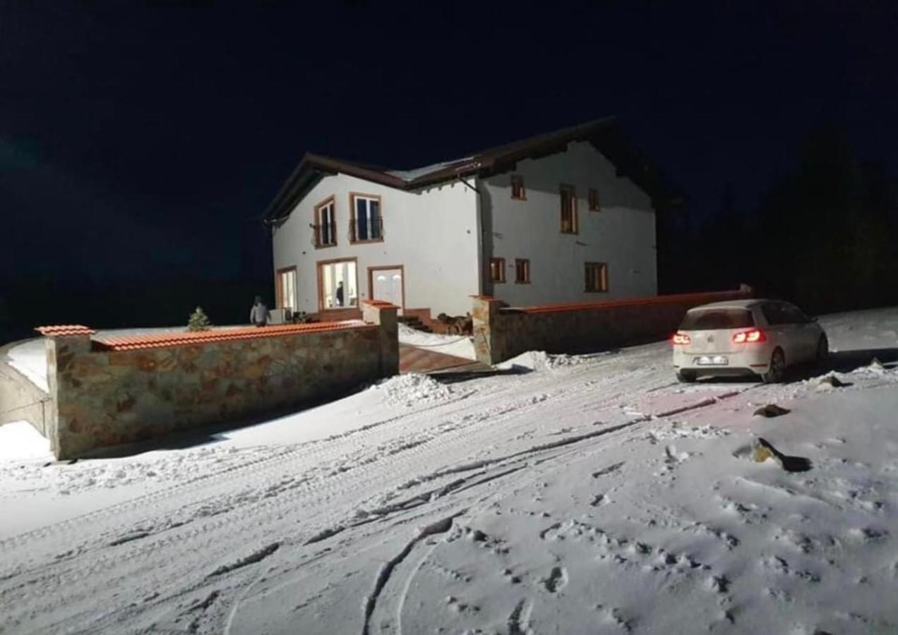 Pensiunea Mandruleanu Borşa Exterior foto