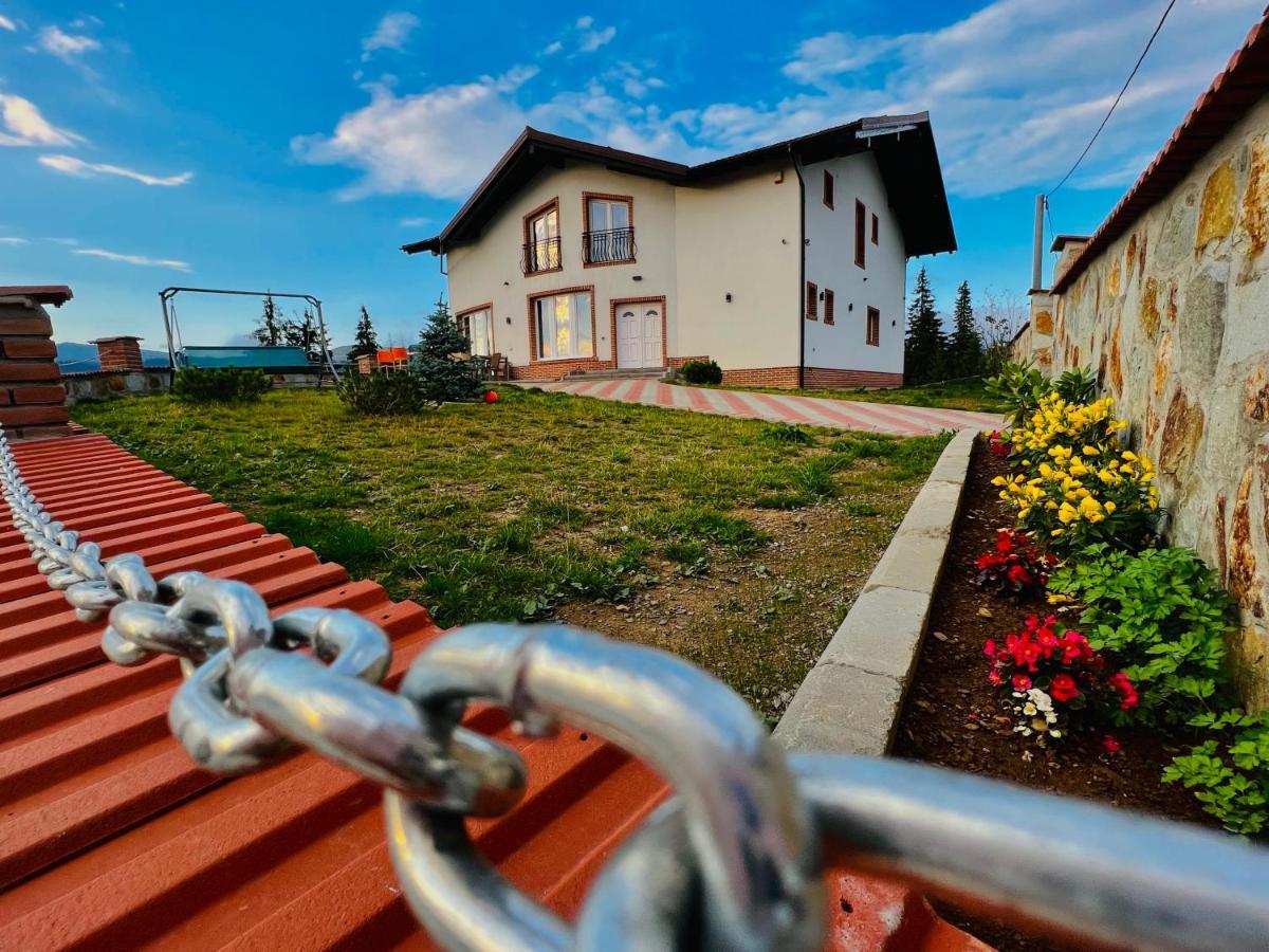 Pensiunea Mandruleanu Borşa Exterior foto